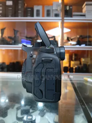 Canon 90d Body