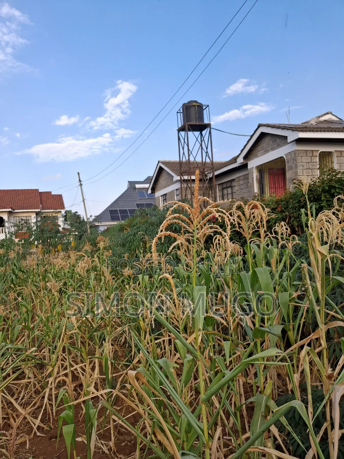 K/ Sukari Muranga Road Fully Serviced Well Drained Red Soil 1/4 Acre
