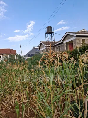 K/ Sukari Muranga Road Fully Serviced Well Drained Red Soil 1/4 Acre