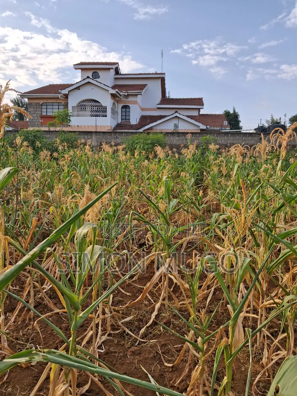K/ Sukari Muranga Road Fully Serviced Well Drained Red Soil 1/4 Acre