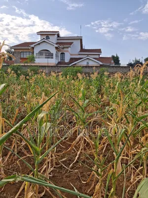 K/ Sukari Muranga Road Fully Serviced Well Drained Red Soil 1/4 Acre