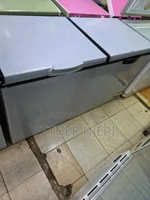 Ramtoms Deep Freezer 600litres