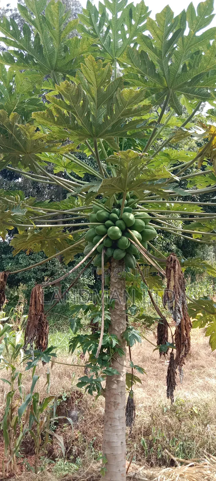 Prime 2 Acres Muranga Gaitega