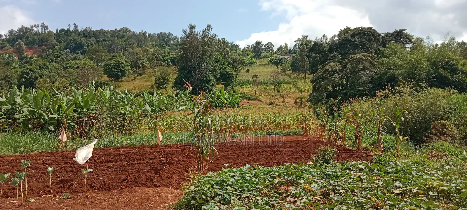 Prime 2 Acres Muranga Gaitega