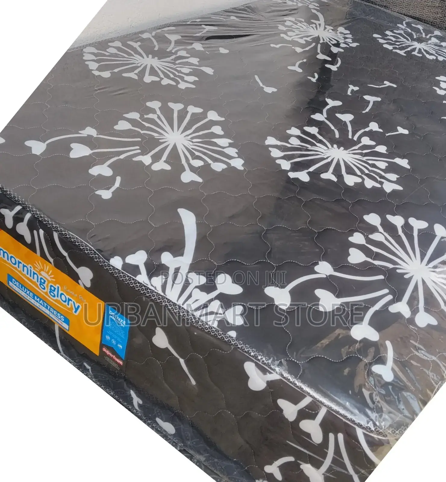 Morning Glory 12 Inches, 4 by 6 Superfoam LTD