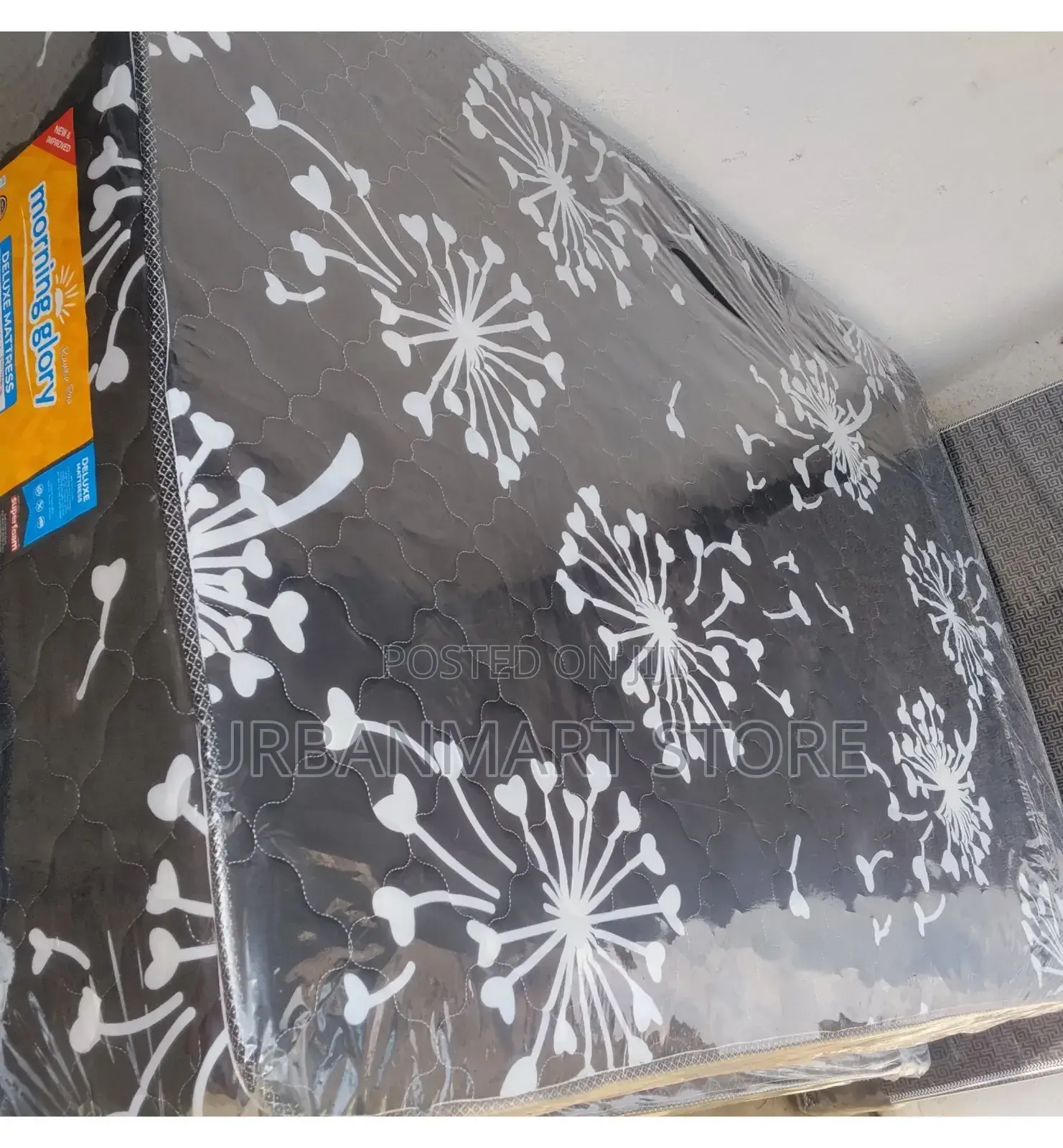 Morning Glory 12 Inches, 4 by 6 Superfoam LTD