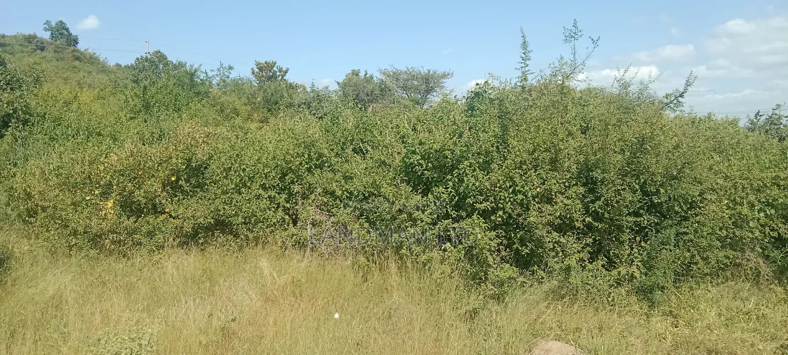 Highway Commercial Land -Distress Sale
