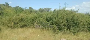 Highway Commercial Land -Distress Sale