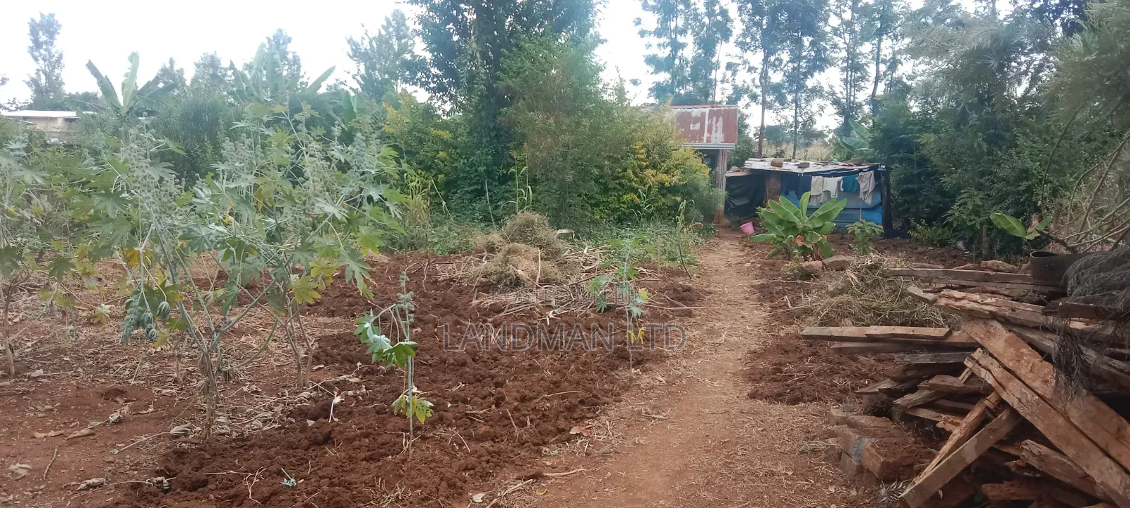 Prime 1/4 Acre - Kiharu Muranga