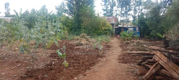 Prime 1/4 Acre - Kiharu Muranga - thumbnail 3