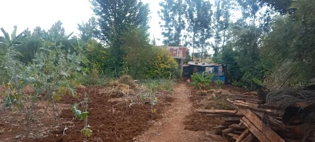 Prime 1/4 Acre - Kiharu Muranga - thumbnail 4