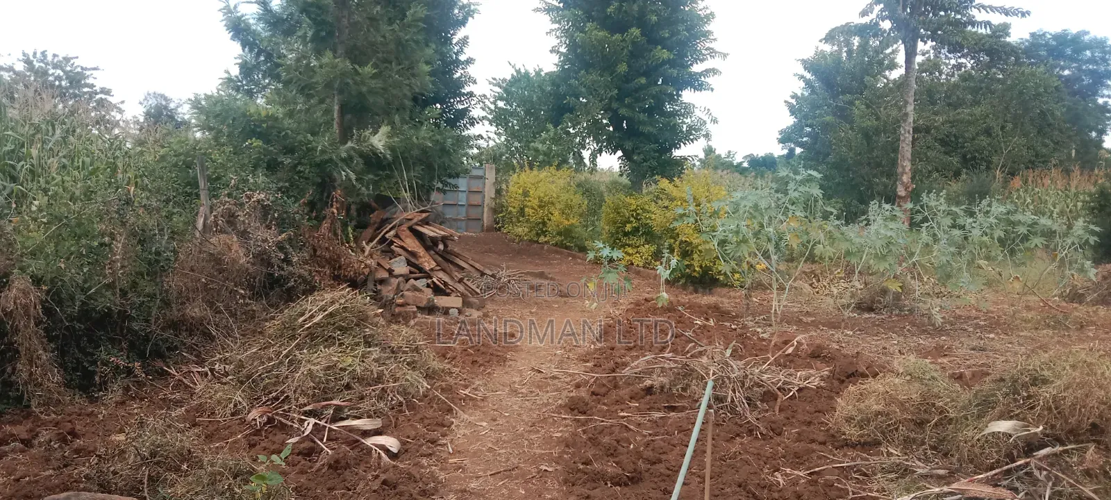 Prime 1/4 Acre - Kiharu Muranga