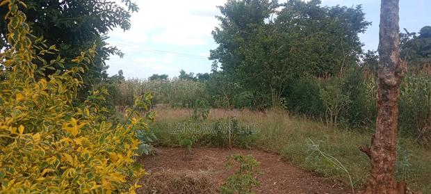 Prime 1/4 Acre - Kiharu Muranga - thumbnail 9