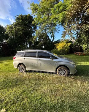 Toyota Wish 2010 Silver