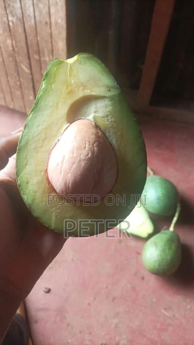 Mannjoro Green Grocer - thumbnail 4