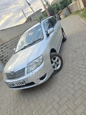 Toyota Corolla Fielder 2005 Silver