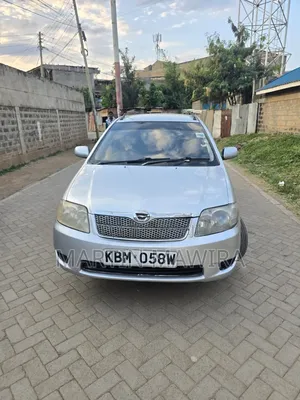 Toyota Corolla Fielder 2005 Silver