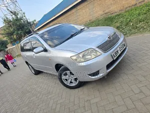 Toyota Corolla Fielder 2005 Silver