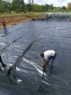 Damliners for Ponds and Dams