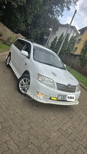 Toyota Corolla Fielder 2007 White