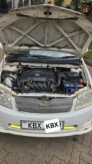 Toyota Corolla Fielder 2007 White