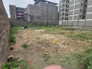 50by100 Plot for Sale in Ruiru Near Prisons