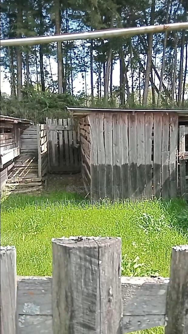 4bdrm House in Engineer for sale - thumbnail 20
