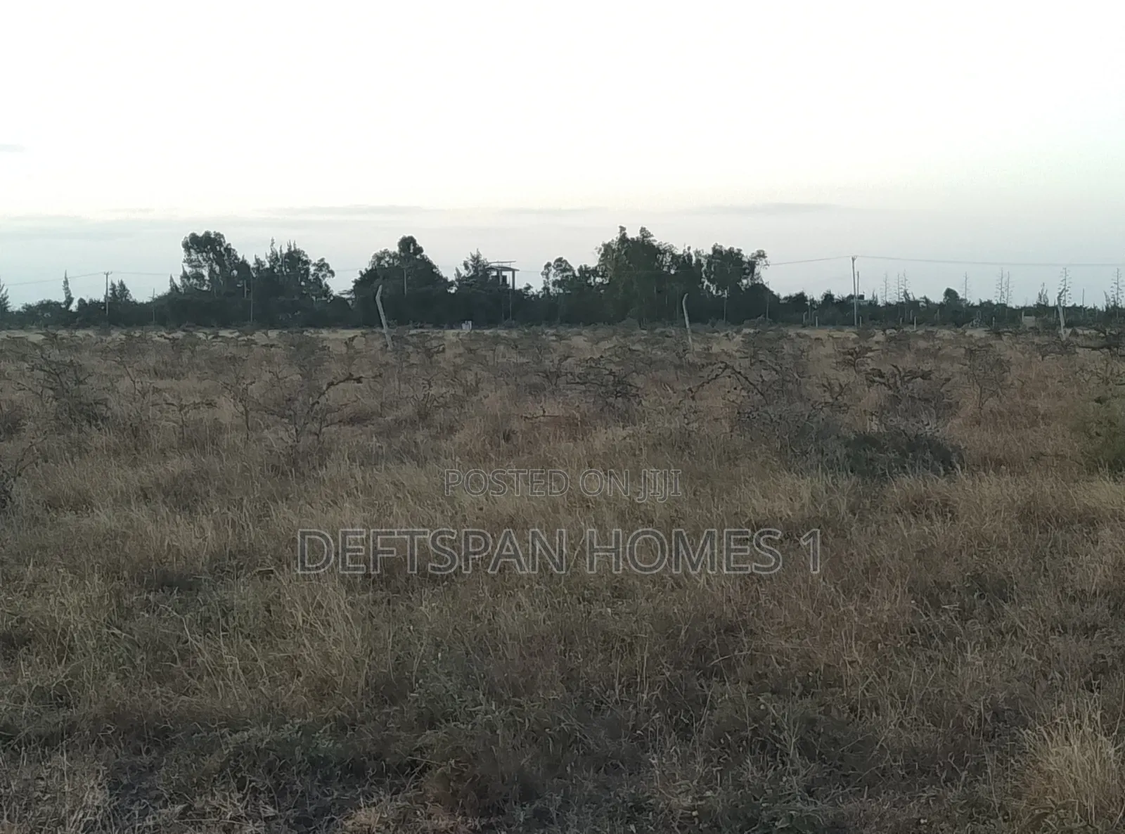 100 by 100 Plot Selling at Kantafu