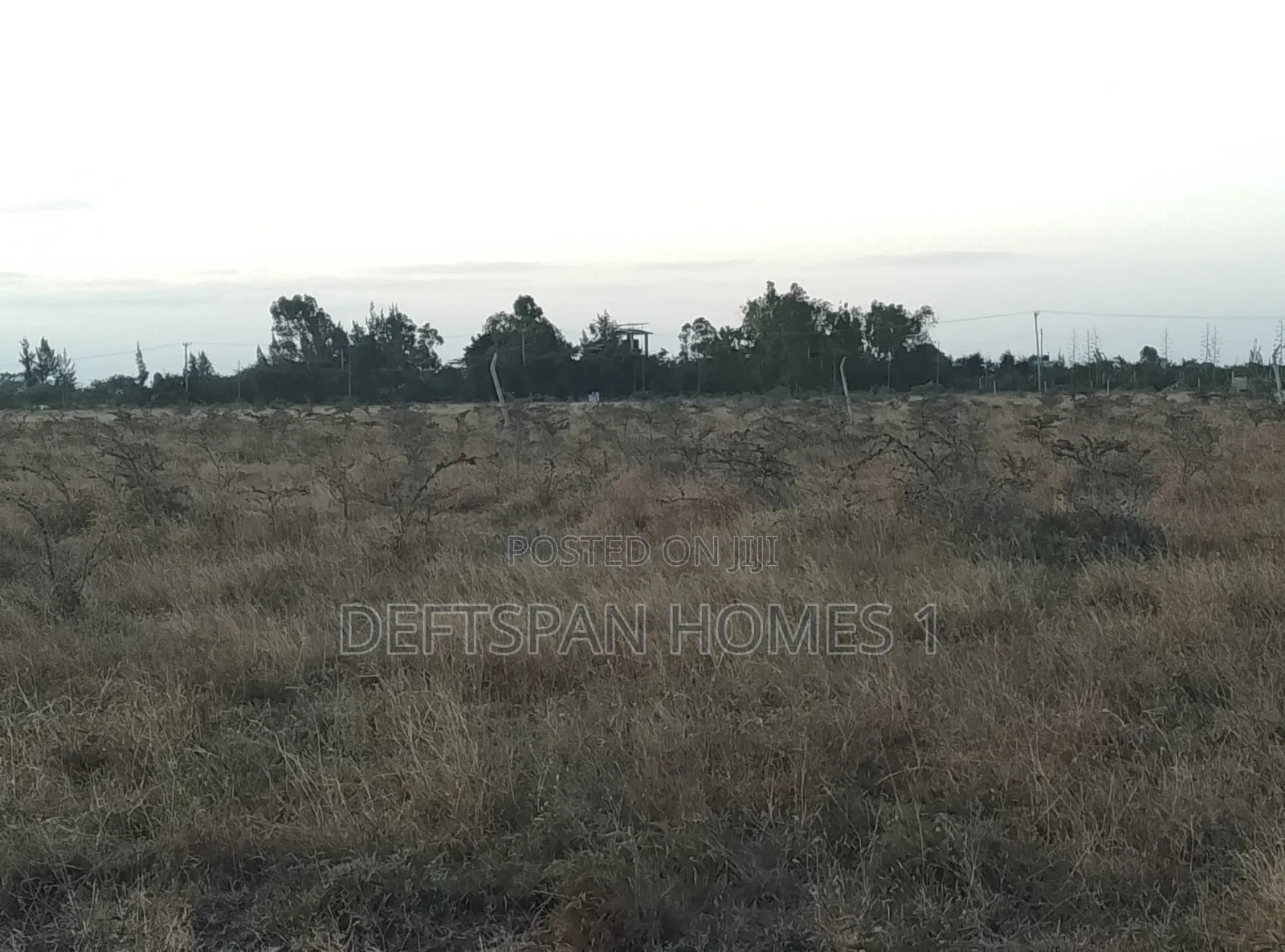 100 by 100 Plot Selling at Kantafu