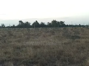 100 by 100 Plot Selling at Kantafu