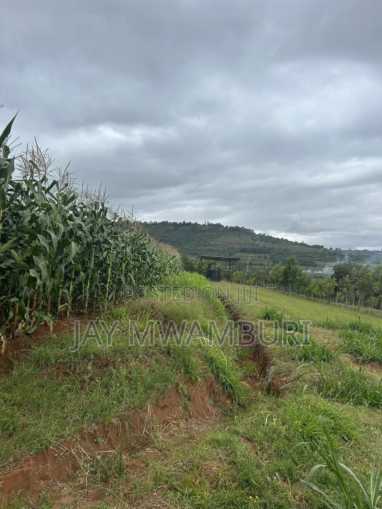 2 Acres Land Mua Hills