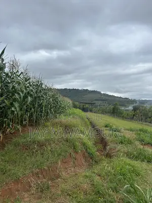 2 Acres Land Mua Hills