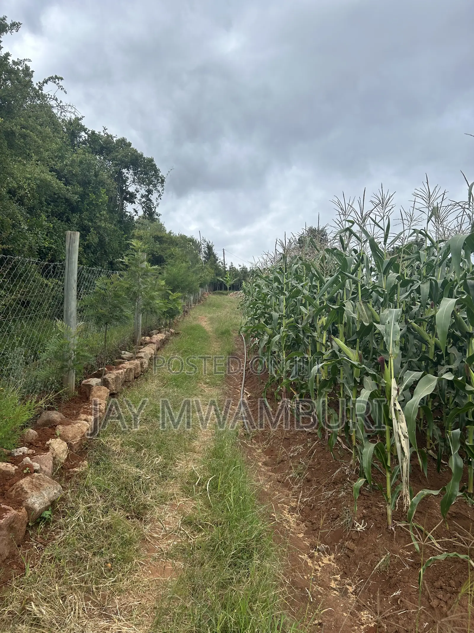 2 Acres Land Mua Hills