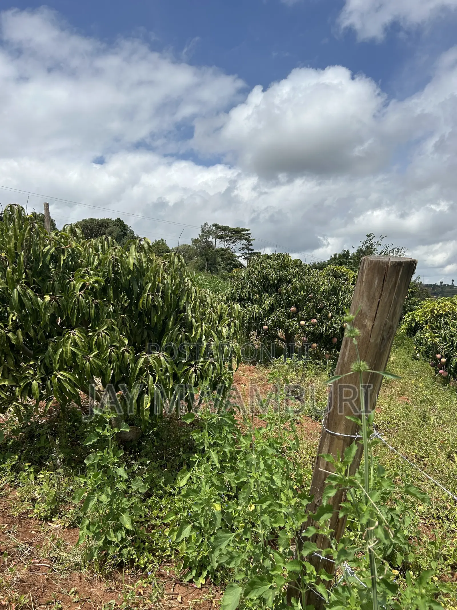 2 Acres Land Mua Hills
