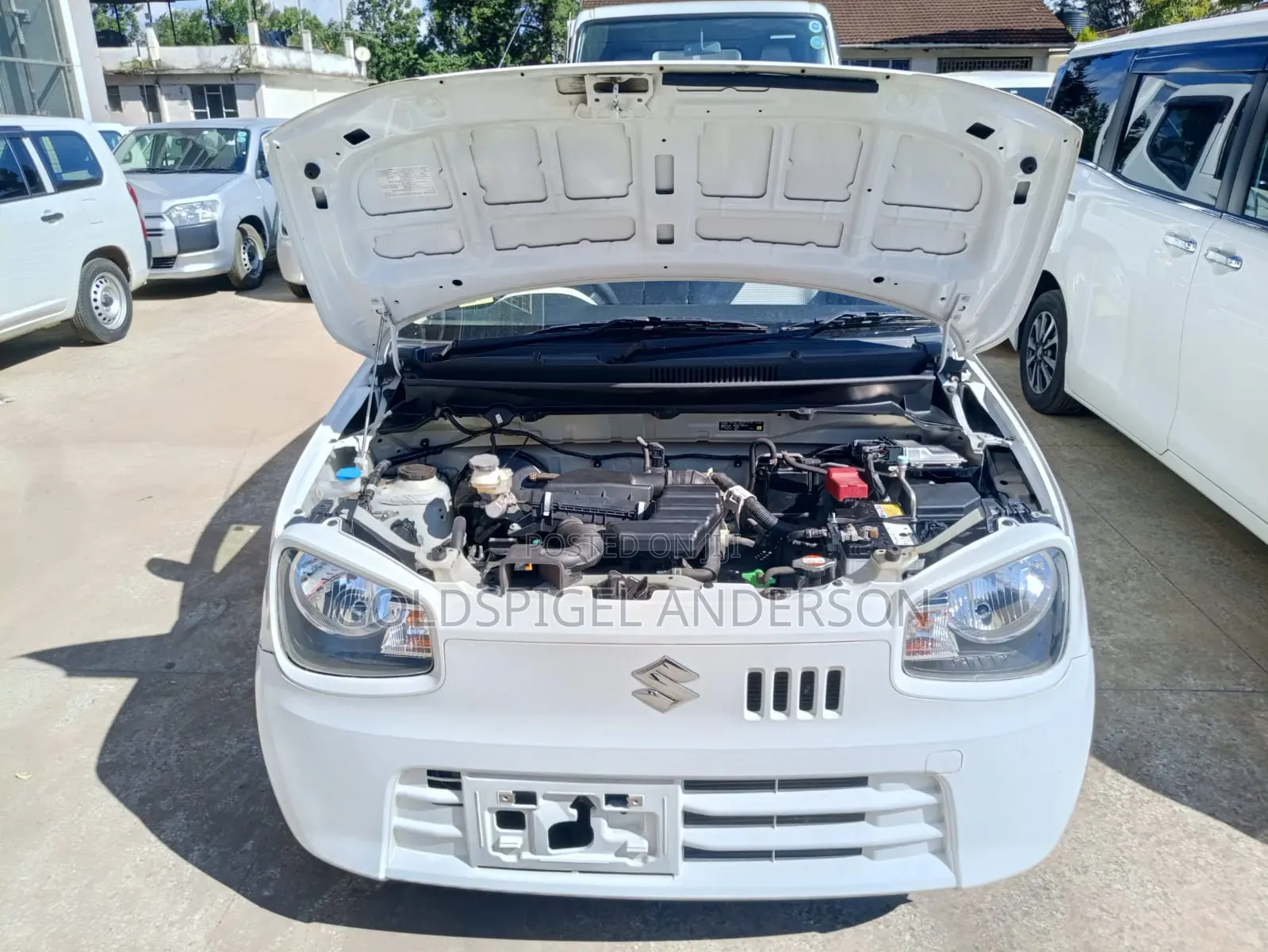 Suzuki Alto 2018 White