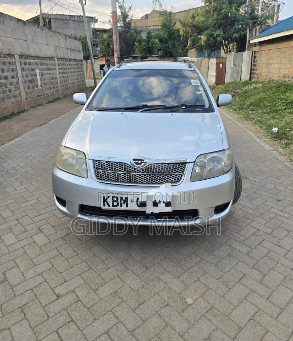 Toyota Corolla Fielder 2006 Silver