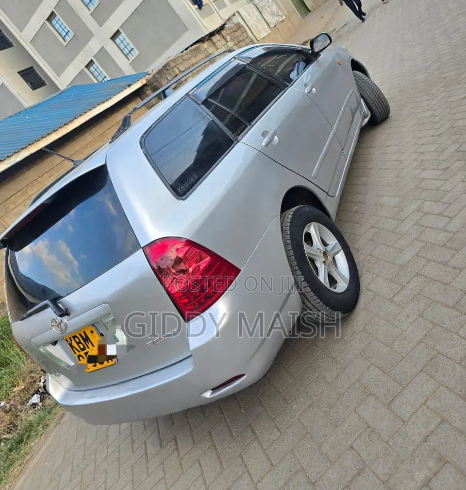 Toyota Corolla Fielder 2006 Silver