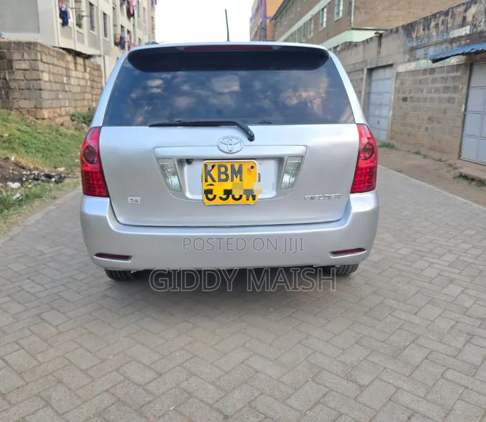 Toyota Corolla Fielder 2006 Silver