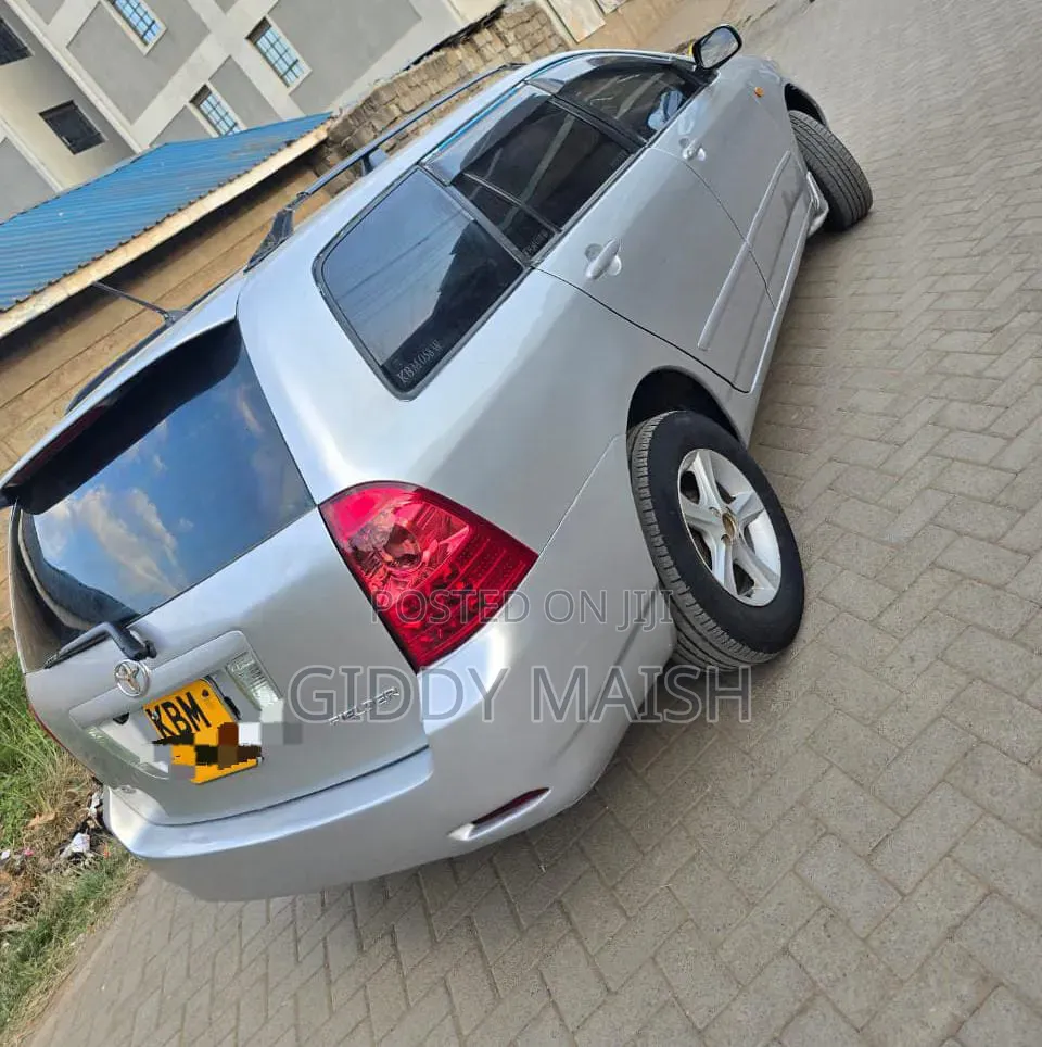 Toyota Corolla Fielder 2006 Silver