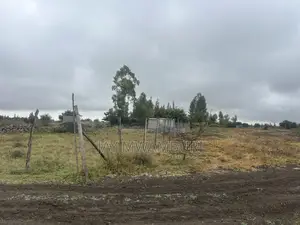 100 By100 Kitengela