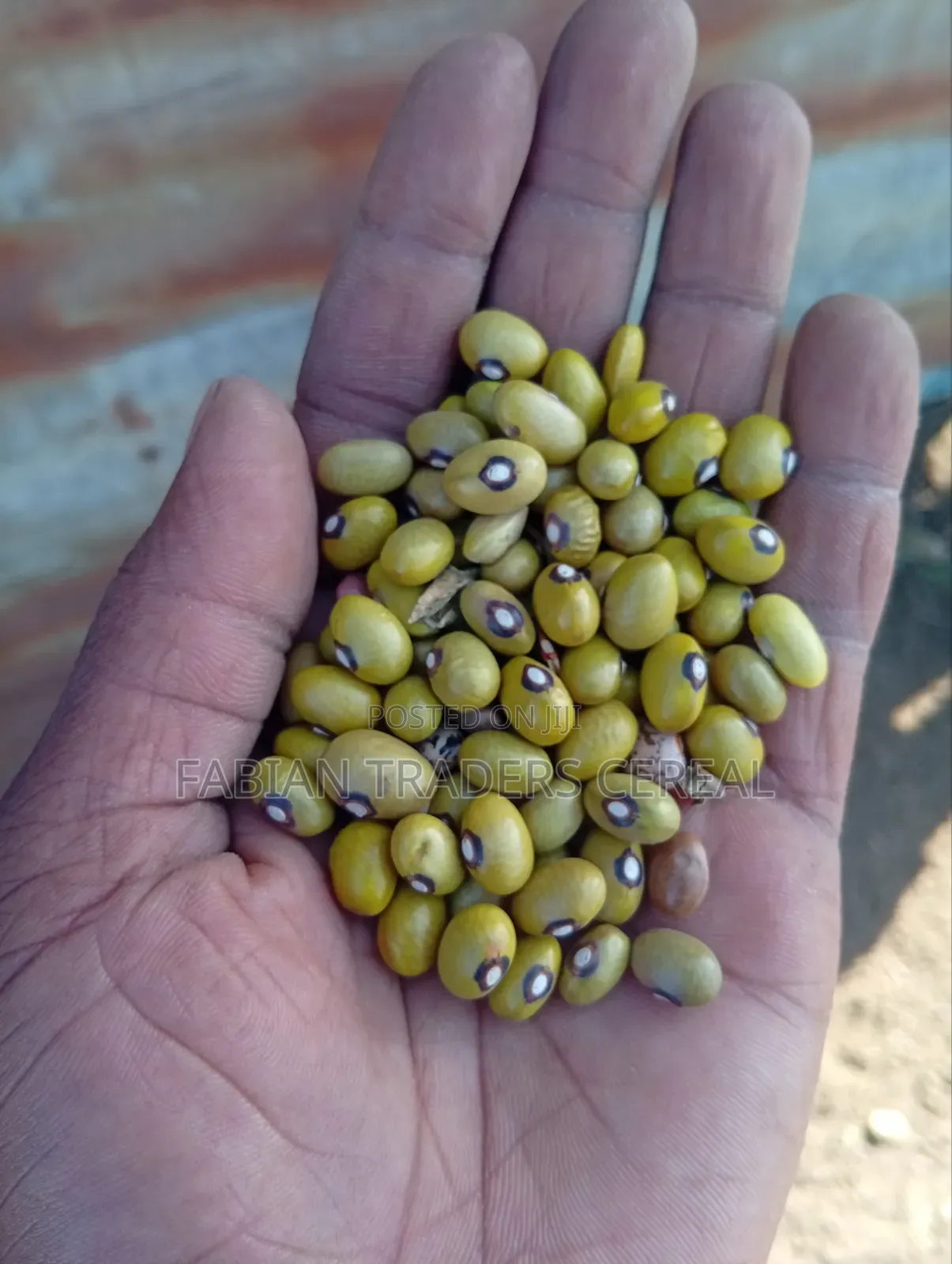 Yellow Beans