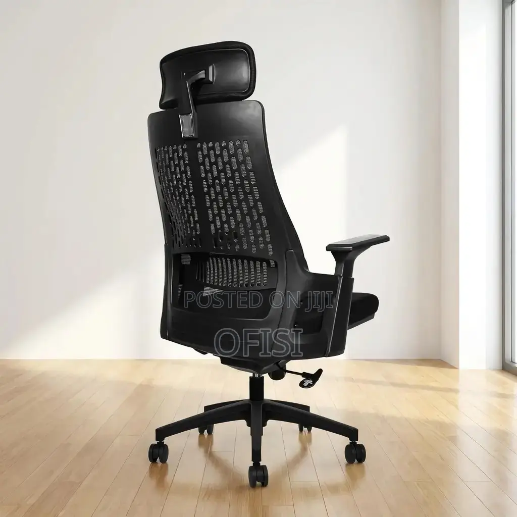 Office Chair; Lama Orthopedic Ergonomic Office Chair