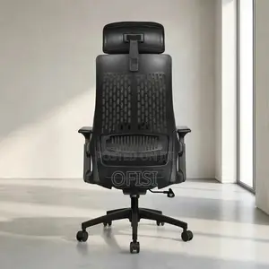 Office Chair; Lama Orthopedic Ergonomic Office Chair