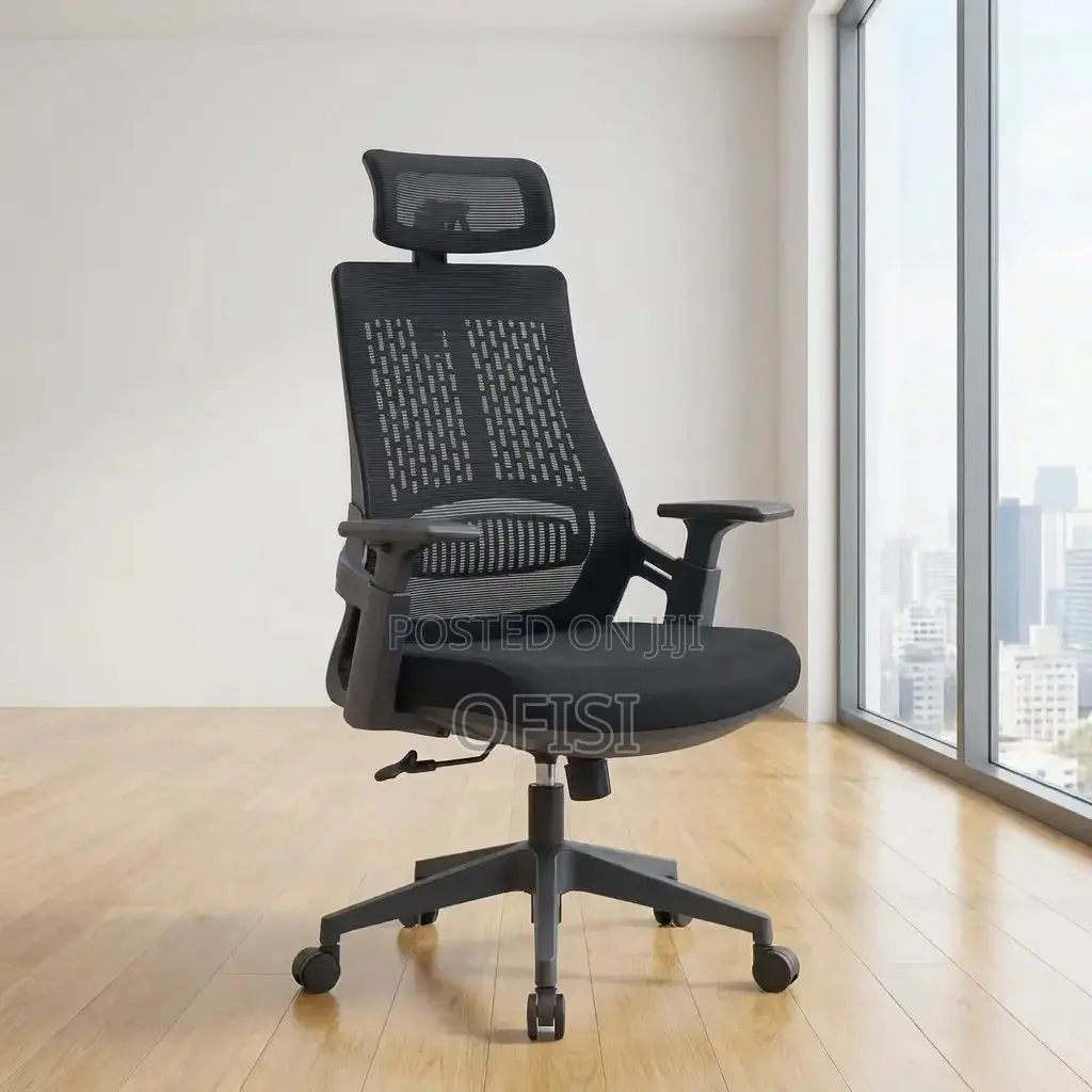 Office Chair; Lama Orthopedic Ergonomic Office Chair