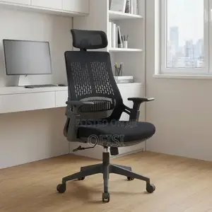 Office Chair; Lama Orthopedic Ergonomic Office Chair