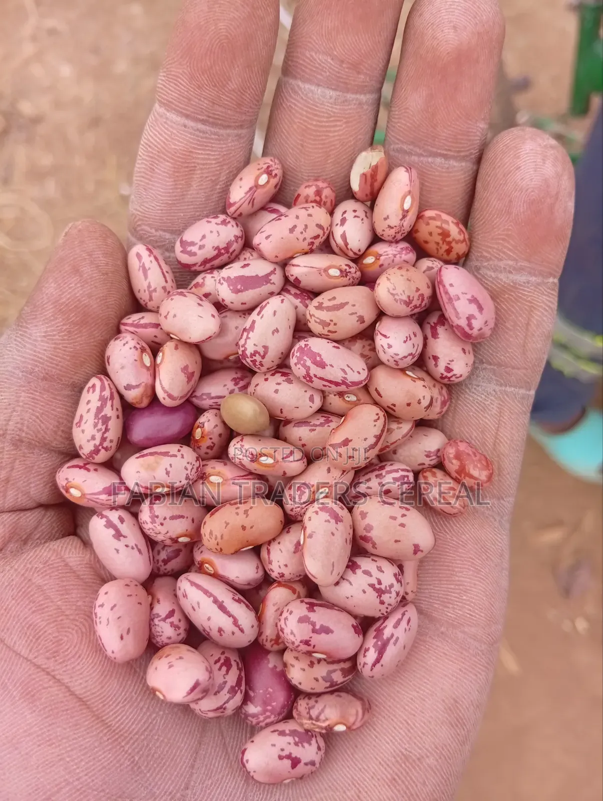 Rosecoco Beans