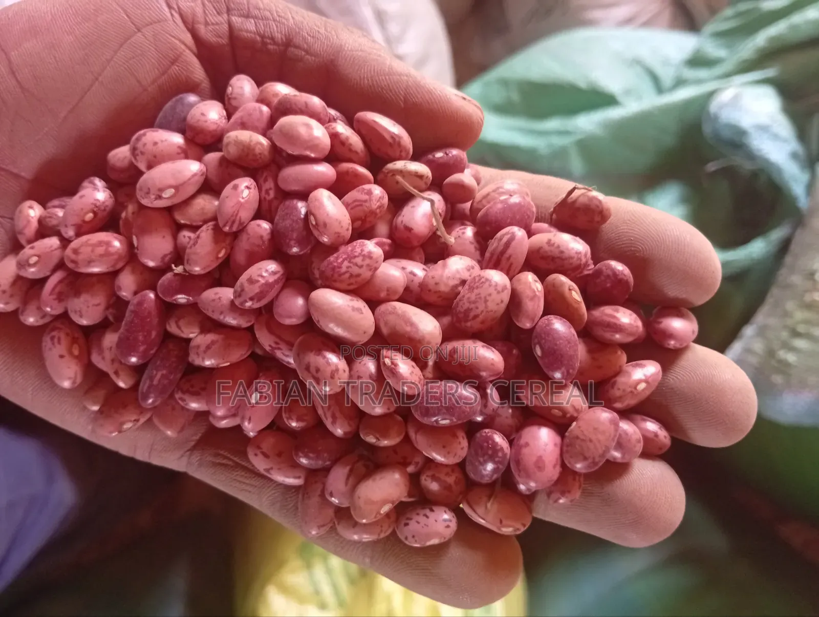 Rosecoco Beans