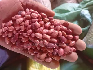 Rosecoco Beans