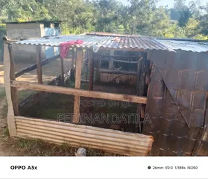 Home for Sell