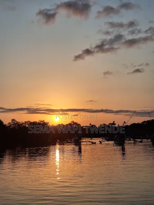 Kongo River Sunset